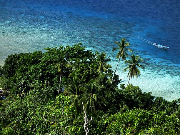 istock archipelago guraici, Halmahera, Maluku, Indonesia 478807516