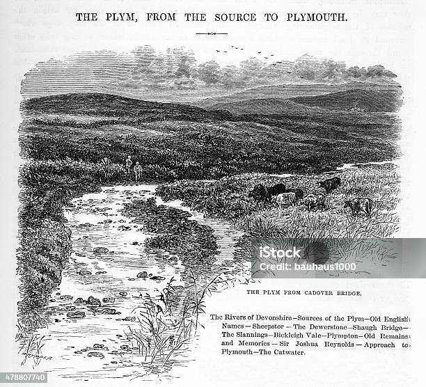 The Plym From Cadover Bridge Victorian Engraving Stock Illustration - Download Image Now - 19th Century, 19th Century Style, Agricultural Field