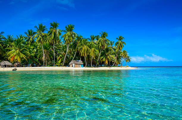 Paradise Tropical Island - San Blas archipelago in Panama Relaxing on paradise Tropical Island with white beach - Islands in the caribbean see kuna yala stock pictures, royalty-free photos & images