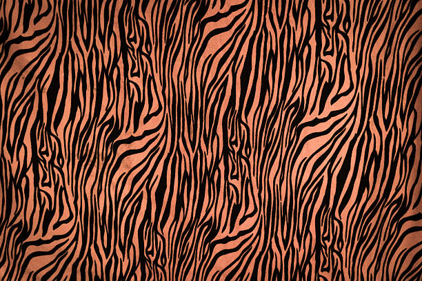 istock texture of zebra style fabric 478811500