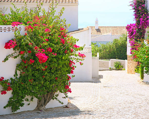 Mediterranean cobbled road leading down to the sea with whitewashed garden walls with flowers and trees