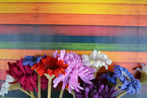 Fleurs colorées - Photo
