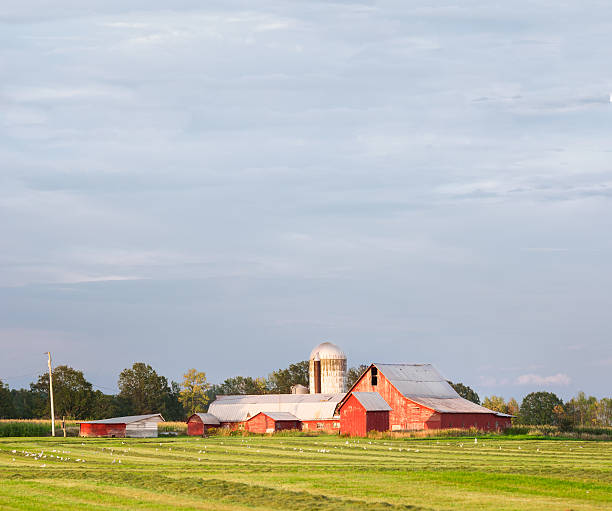 istock Red wooden barn in the sunset 478812100