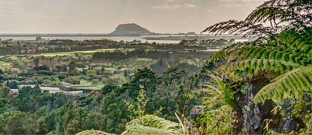 monte wanganui - tauranga imagens e fotografias de stock