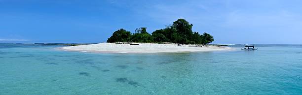 istock Dodola near Tobelo, Maluku 478815666
