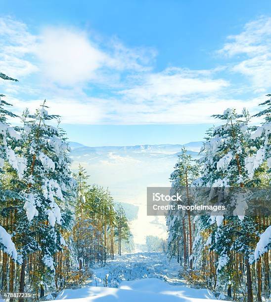 Its The Perfect Winter Stock Photo - Download Image Now - Backgrounds, Beauty In Nature, Blizzard