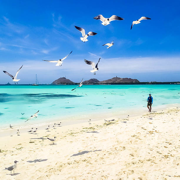 Los Roques Venezuela Caribbean