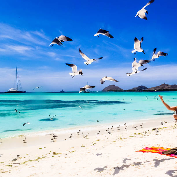 Los Roques Venezuela Caribbean