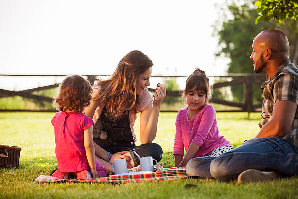 istock Family at picnic 478820410