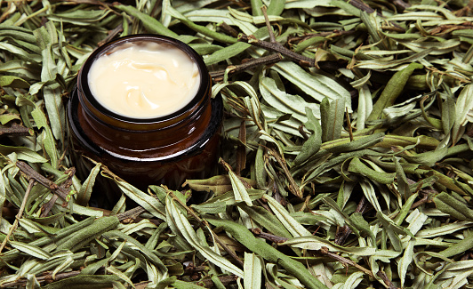 Safe organic cosmetics. Close-up of open glass jar filled with cream surrounded by sea buckthorn leaves. Copy space