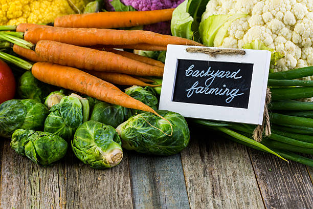 Vegetables