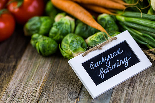 Vegetables