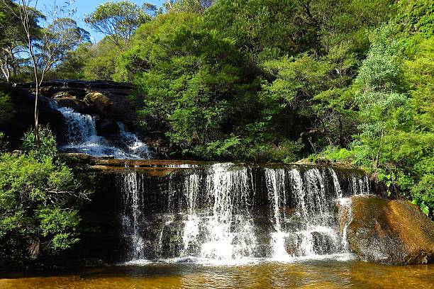 istock Wentworth Falls ,Blue Mountains, Australia near Sydney 478824920