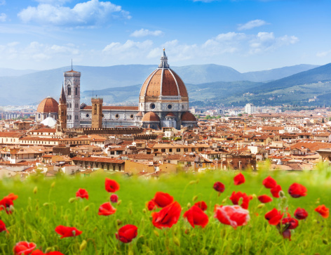Florence, Duomo and Giotto's Campanile in poppy flowers