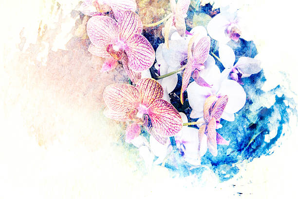 istock Flower watercolor illustration. 478827580