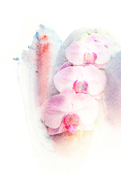 istock Flower watercolor illustration. 478827588