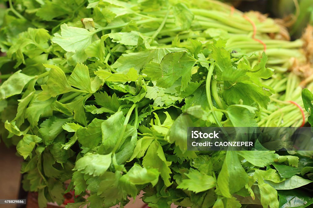 Fresh green basil in a basket at the market 2015 Stock Photo