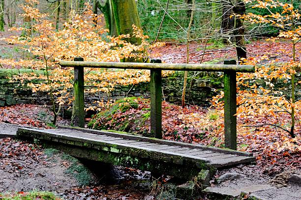istock Wooden Footbridge 478830504