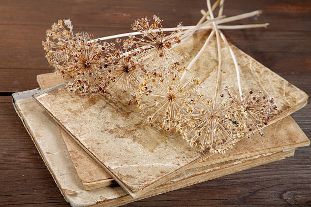 istock Dry inflorescences on old writing-books 478834113