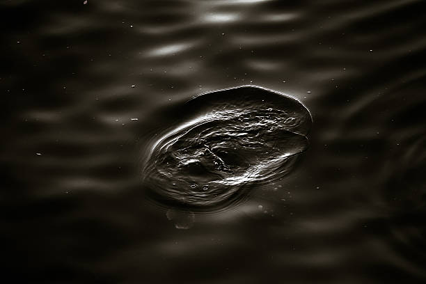 oscuridad de agua - ripple nature water close to fotografías e imágenes de stock