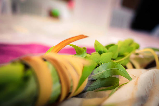 gros plan de lulav allongée sur une table - 4 string photos et images de collection