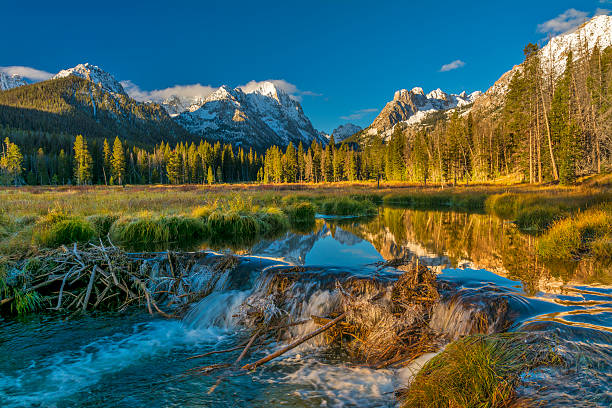 A long exposure image to capture the reflections of the Grand teton mountain in Grand Teton National Park
