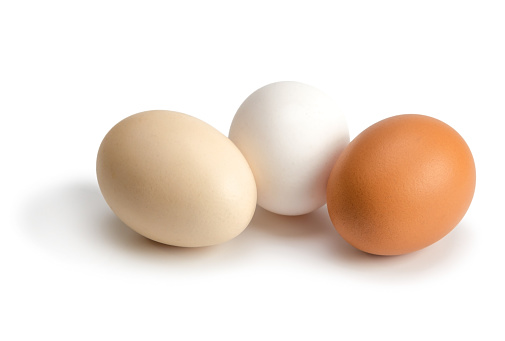 organic eggs of different colors isolated on white background