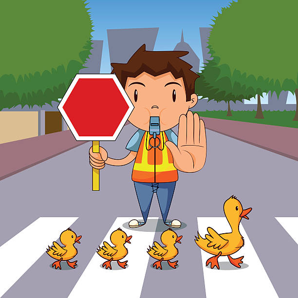 Traffic warden Cute traffic warden caring ducks, vector illustration, cartoon character, stop gesture, sign traffic police stock illustrations