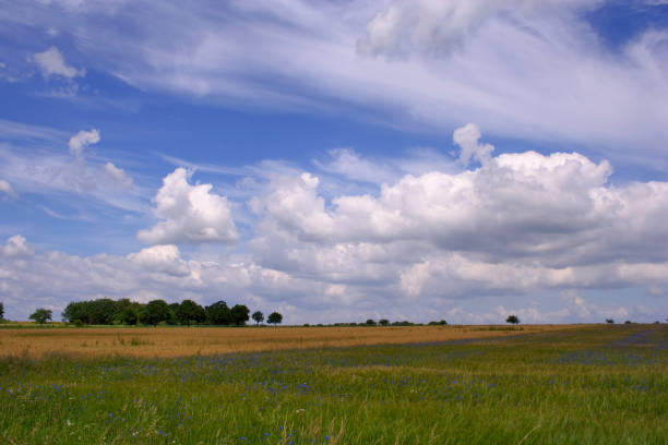 istock Landscape idyll, Wendland, northern germany 478840783
