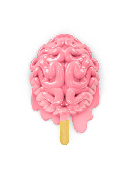 Popsicle brain melting 3D render of human brain as ice cream popsicle melting brain stock pictures, royalty-free photos & images