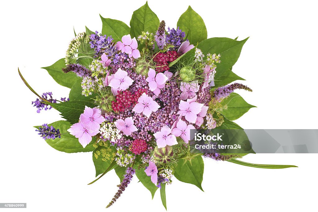 Bunch of flowers with lavender and hydrangea Garden flowers, isolated. Arrangement Stock Photo