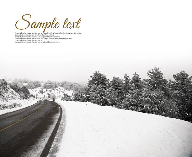 istock Winter scenery with forest on the side of driveway 478841829