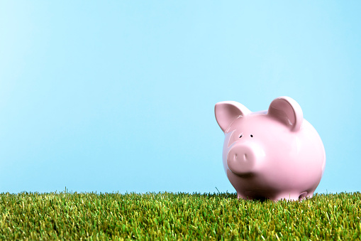 Piggy bank summer savings freedom, green grass, blue sky, copy space
