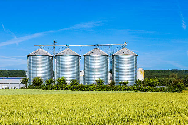 istock four silver silos in field under bright sky 478846060