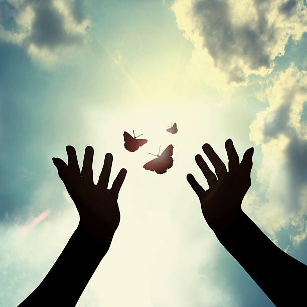Hand with butterfly in sky stock photo