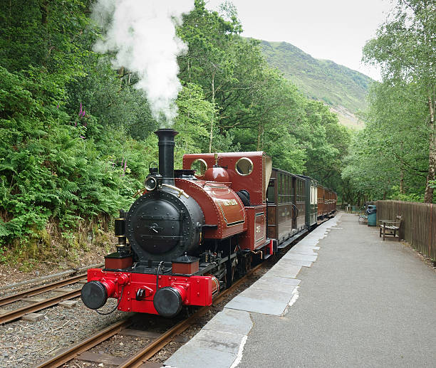 Steam train on Talyllyn heritage railway, Wales, UK... stock photo