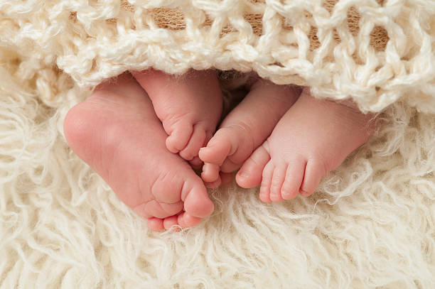 Feet of Newborn Baby Twins stock photo
