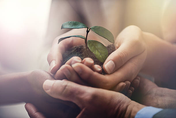 Nurturing corporate growth Cropped image of businesspeople holding a growing seedling in their cupped handshttp://195.154.178.81/DATA/i_collage/pi/shoots/784022.jpg responsible business photos stock pictures, royalty-free photos & images