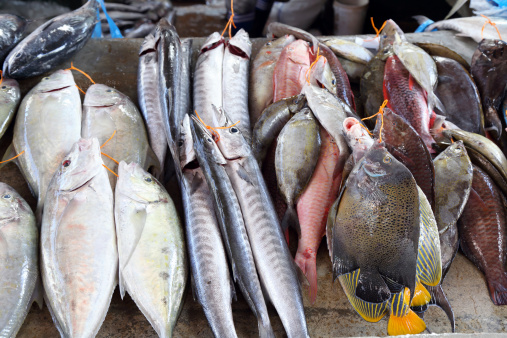 Various fish on fish market in Victoria City, Mahe Island, Seychelles