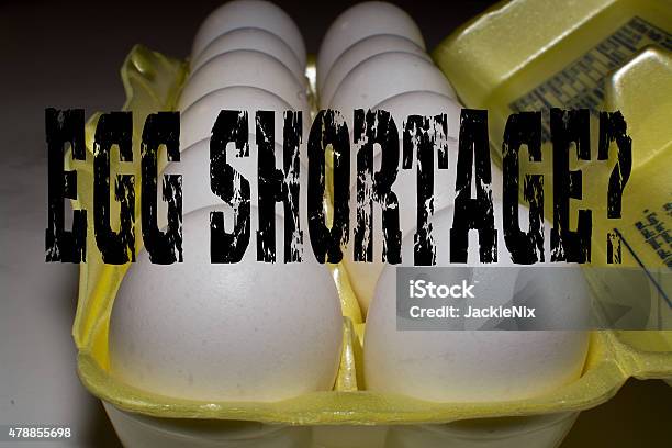Egg Shortage Stock Photo - Download Image Now - 2015, Agriculture, Animal Egg