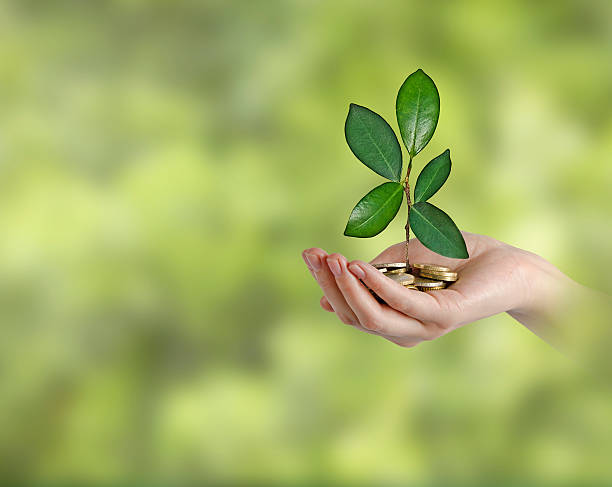 istock Investing to green business 478856308