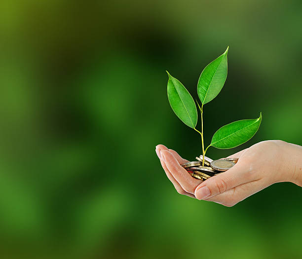 istock Investing to green business 478856348