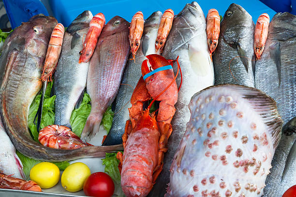 istock Fresh from the ocean  fish variety. 478860495
