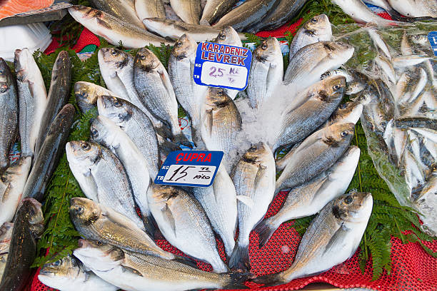 istock Fresh from the ocean bream fish catch. 478862183