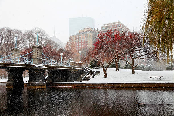 istock Late autumn snow in Boston 478864702