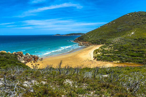 istock Wilsons Promontory Victoria 478868428
