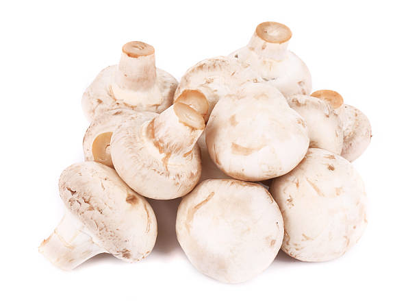 istock Bunch of white mushrooms close up 478871257