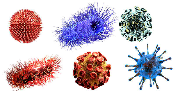 медицинская иллюстрация вирусы и бактерии изолированные на белом фоне - scientific micrograph стоковые фото и изображения