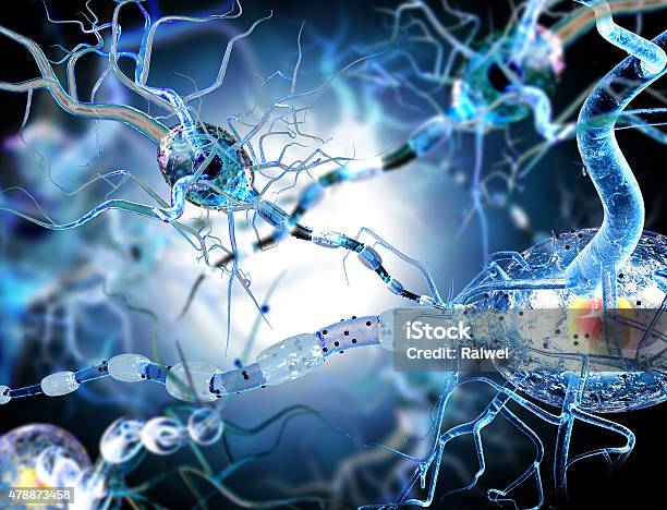 Photo libre de droit de 3 D Illustration De Cellules Nerveuses banque d'images et plus d'images libres de droit de Déclin - Déclin, 2015, Bactérie