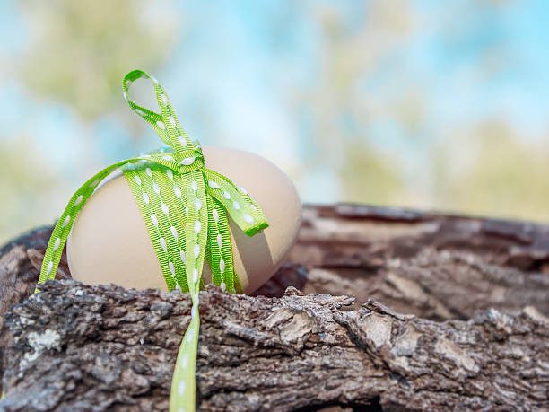 Egg with ribbon bow on wooden surface stock photo